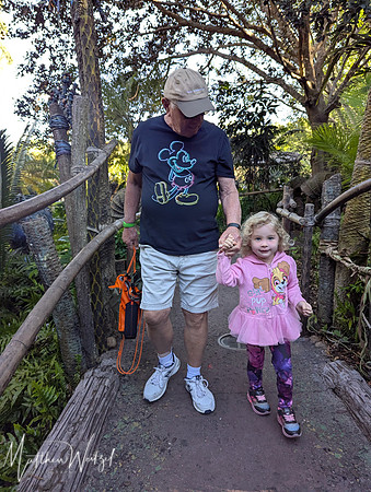 2025-04-12_085559 (Disney)_3
