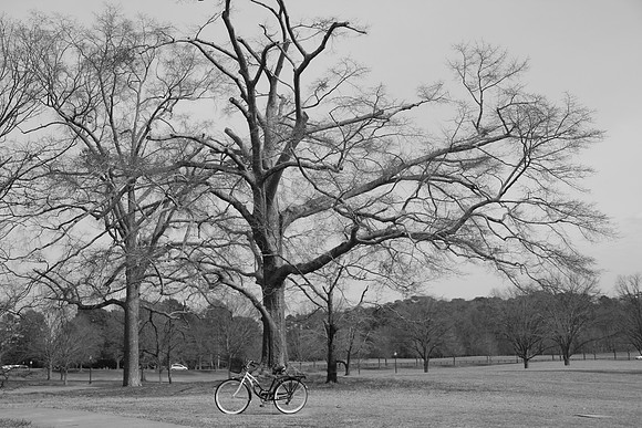 IMG_7547