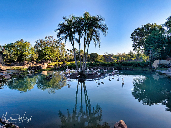 2025-04-12_082227 (Disney)