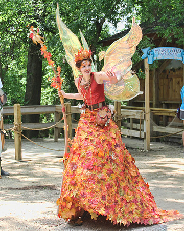 2015-05-02_142020_SRFestival