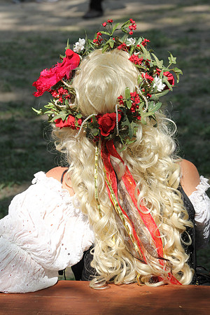 2015-05-02_172415_SRFestival