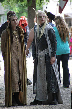 2015-05-02_161715_SRFestival