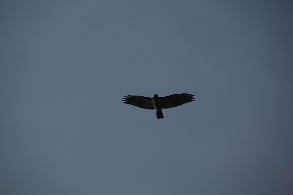 20140419_193205_MW
