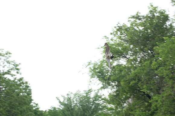 20140419_192635_MW
