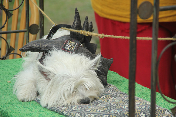 20140525_143345_Scarby