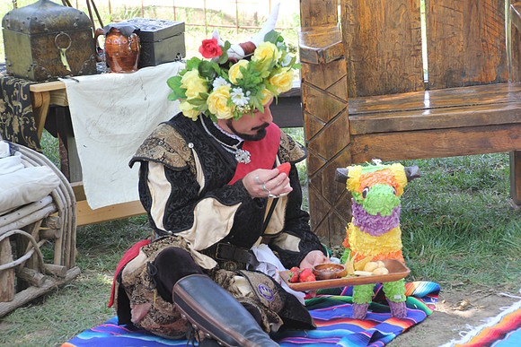 2015-05-02_150925_SRFestival