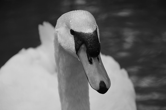 IMG_7505