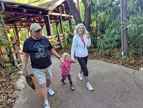 2025-04-12_083014 (Disney)
