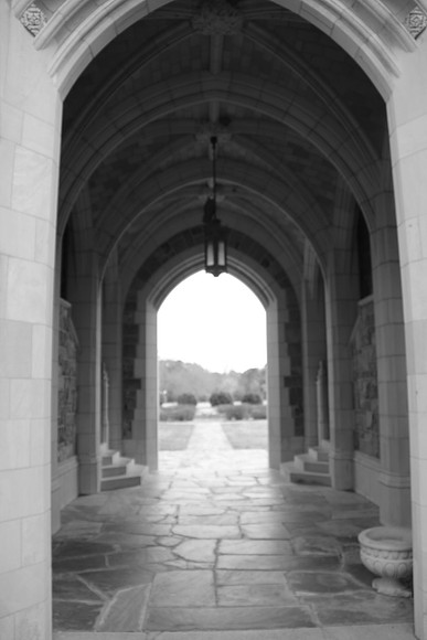 IMG_7605