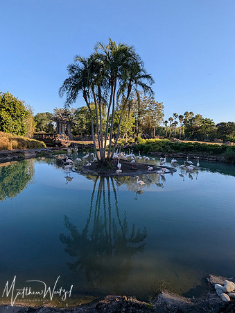 2025-04-12_082230 (Disney)