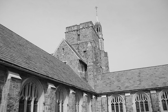 IMG_7550