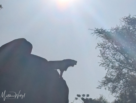 2025-04-12_082602 (Disney)