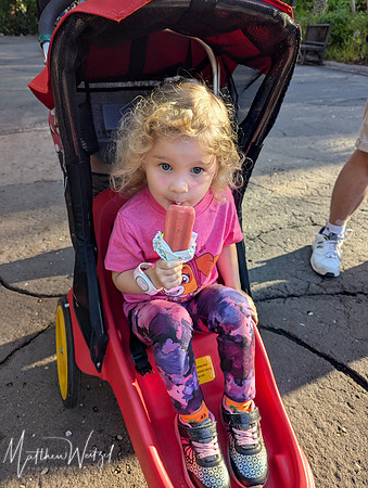2025-04-12_083515 (Disney)