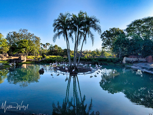 2025-04-12_082225 (Disney)