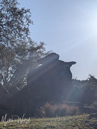 2025-04-12_082605 (Disney)_4