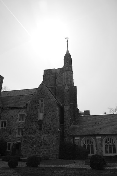 IMG_7584