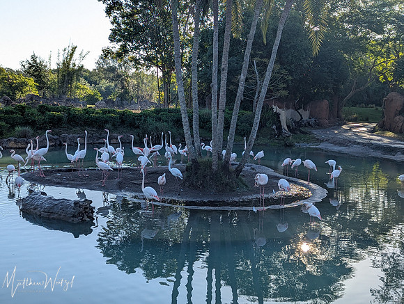 2025-04-12_082221 (Disney)