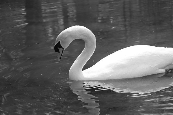 IMG_7490