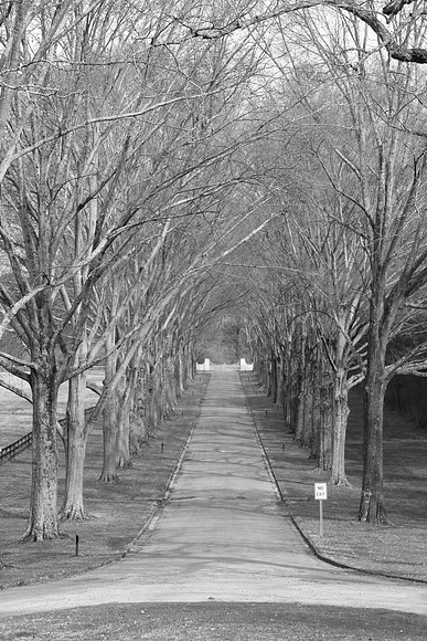 IMG_7625