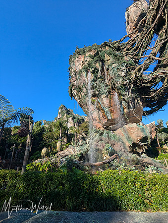 2025-04-12_085241 (Disney)