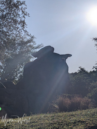 2025-04-12_082605 (Disney)_3