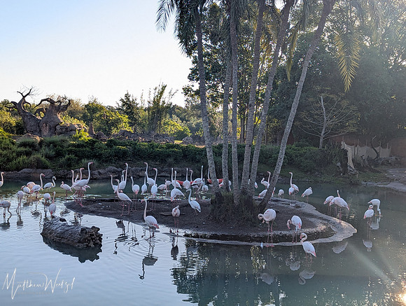 2025-04-12_082222 (Disney)