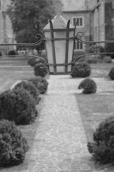 IMG_7614