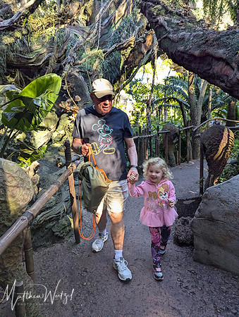 2025-04-12_085611 (Disney)
