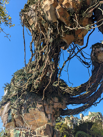 2025-04-12_085154 (Disney)