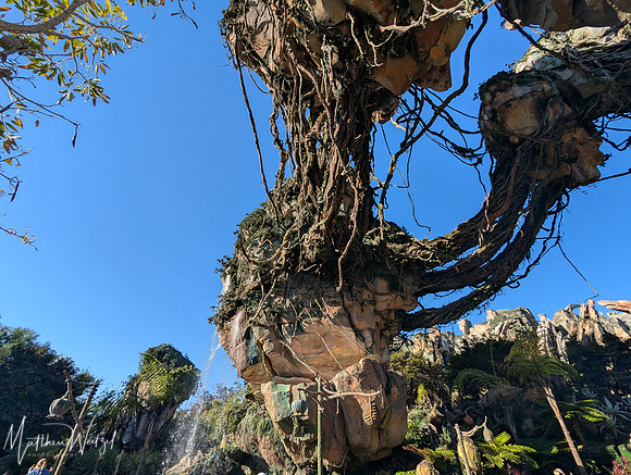2025-04-12_085146 (Disney)
