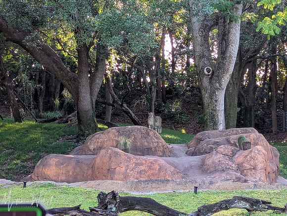 2025-04-12_082345 (Disney)