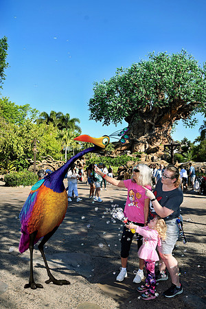 2025-04-12_094826 (Disney Photopass)