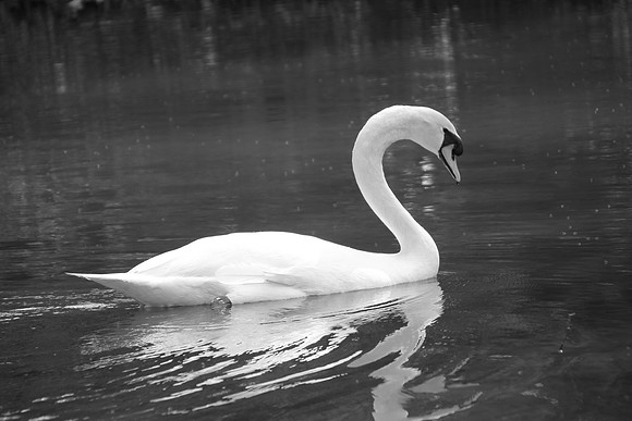 IMG_7499