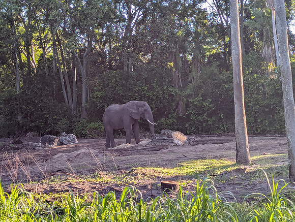 2025-04-12_081909 (Disney)