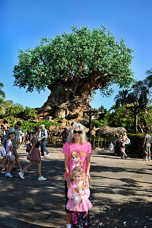 2025-04-12_094844 (Disney Photopass)